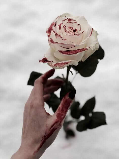 Once upon a&nbsp;rose,